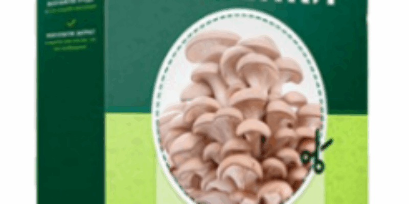 Домашняя грибница — урожай 5 кг всего за 3 недели! Это реально!