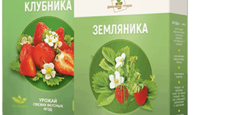 Эко ягодница: урожай клубники за 2 недели — это просто и реально!